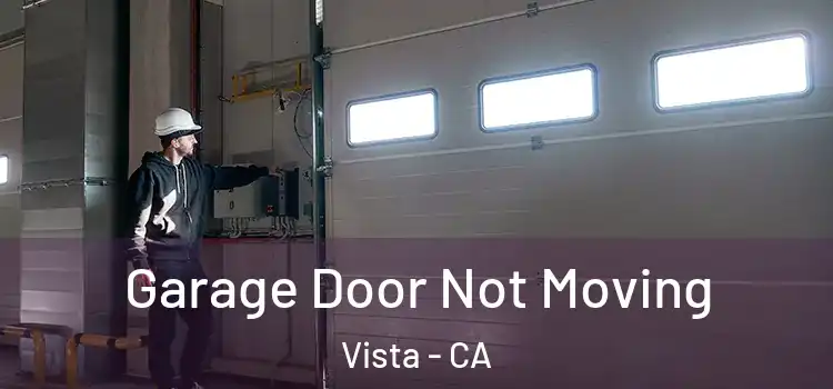  Garage Door Not Moving Vista - CA